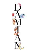 Cargar imagen en el visor de la galería, ABC