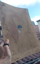 Cargar imagen en el visor de la galería, Renacimiento
